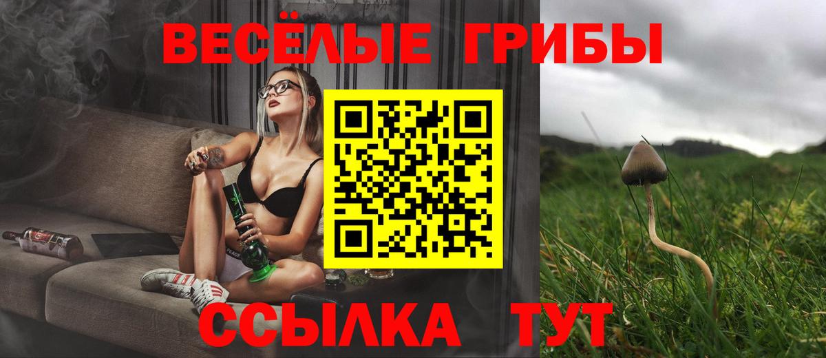 Нижний Новгород  Галлюциногенные грибы Cubensis  Вход с VPN 